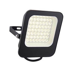 Guard 30W Floodlight 4000K IP65