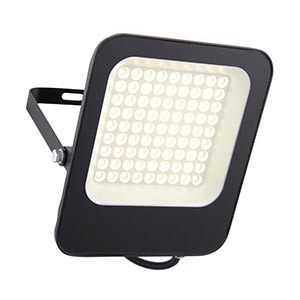 Guard 50W Floodlight 4000K IP65